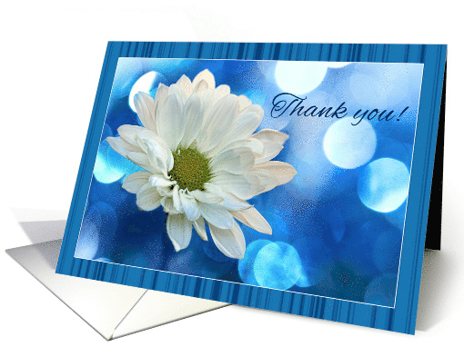 Thank you with White Daisy Flower Macro and Blue Bokeh card (1095208)