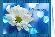 Thank you! White daisy, blue bokeh, stripes, scrapbook style. card