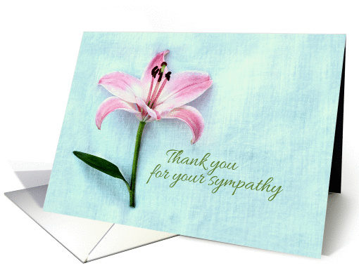 Thank you for your sympathy, simple pink lily, textured... (1148040)