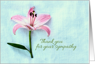 Thank you for your sympathy, simple pink lily, textured photograph card