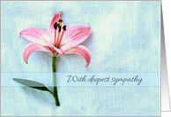 With deepest sympathy, simple pink lily, textured photograph card