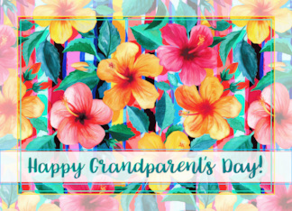 Happy Grandparent's Day with Colorful Hibiscus Flowers and Stripes