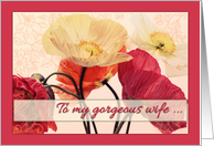 To my gorgeous wife ... Get well soon! Bright poppies in vintage tones card