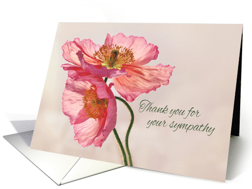 Thank You for Your Sympathy with Beautiful Pink Poppies on Cream card