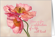 Celebration of life...