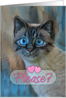 Be my Valentine? - sad cat painting with big blue eyes, pink hearts card