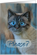 Please Forgive Me Sad Tabby Cat Painting with Big Blue Eyes card
