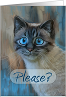 Please forgive me? - sad tabby cat painting with big blue eyes card