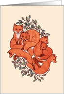 Cute Fox Family Illustration blank note card, pencil, watercolor card