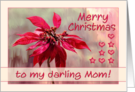 Merry Christmas to my Mom, poinsettia painting, hearts, stars card