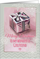 Merry Christmas to My Wonderful Girlfriend Gift Painting & Snowflakes card
