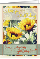 Happy Birthday to my gorgeous girlfriend, with sunflower painting card