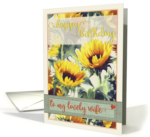 Happy Birthday to My Lovely Wife with Beautiful Yellow Sunflowers card