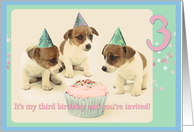 Third Birthday Party Invitation with Three Puppies and a Cupcake card