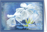Grandparents Day Card - For Gran, plumbago in shades of blue, white card
