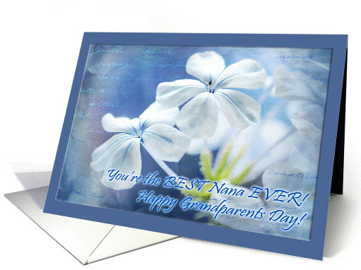 Grandparents Day Card - For Nana, plumbago in shades of... (943858)
