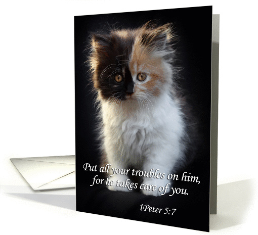 Cute kitten scripture verse encouragement card. card (945047)
