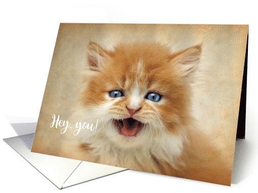 Cute Ginger Persian Kitten Missing You card (945402)