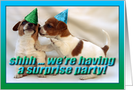 Surprise party invitation with cute puppies wearing party hats. card