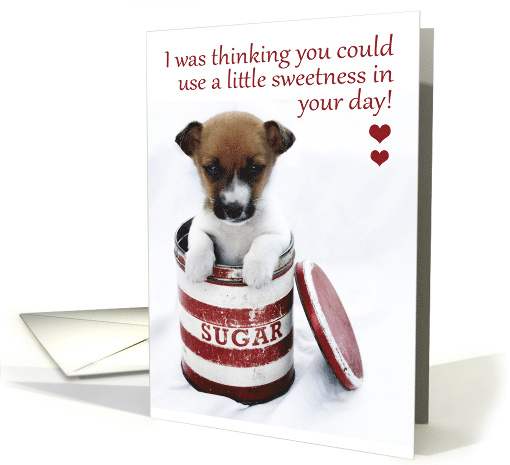 Thinking of You with Sweet Puppy in Vintage Tin card (949234)