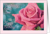 June Birthday Rose Card, beauty born in June, pink rose, droplets. card