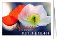 Best Wishes on Your Retirement with Gorgeous Poppies and Bokeh card