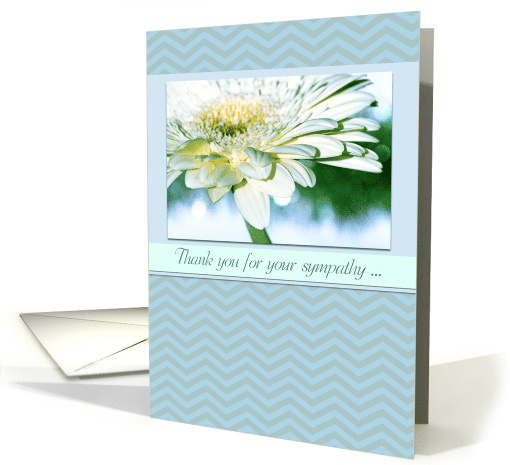 Thank You for Your Sympathy with White Daisy and Chevron Pattern card