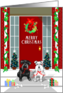 Merry Christmas - Two schnauzer Christmas card