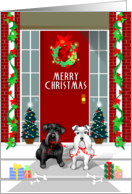 Merry Christmas - Two schnauzer Christmas card
