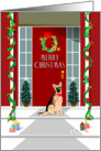 Merry Christmas - German Shepherd Dog card