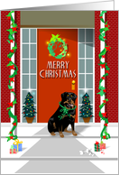 Merry Christmas - Rottweiler Dog card