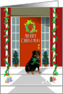 Merry Christmas - Rottweiler Dog card
