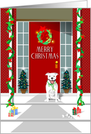 Merry Christmas - Pit Bull Dog - White card