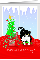 Season’s Greetings - Cat with Catnip card