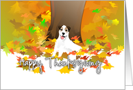 Happy Thanksgiving - Jack Russell Terrier Dog and Fall Leaves card