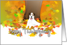 Happy Thanksgiving - Jack Russell Terrier Dog and Fall Leaves card