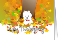 Happy Thanksgiving - West Highland Terrier Dog and Fall Leaves card