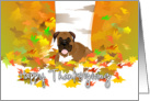 Happy Thanksgiving - Boxer Dog card