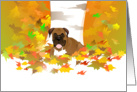 Autumn - Boxer and fall leaves card