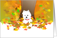 Autumn - West Highland Terrier and fall leaves card