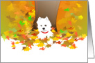 Autumn - West Highland Terrier and fall leaves card