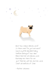 Little Pug Dog Pet...