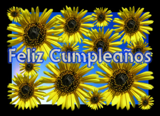 Feliz Cumpleaños -...