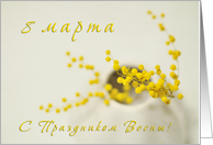 International Women’s Day Russian Yellow Mimosa card
