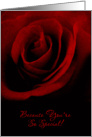 Birthday...Dark Red Rose card