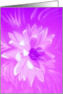 Pink Flower - Grow card