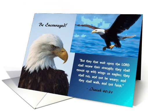 Be Encouraged! Isaiah 40:31, Bald Eagle card (677598)