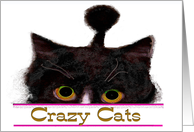 Crazy Cats card