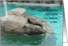 Thanks For Your Help Sea Lion card