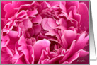 Bright Pink Peony card